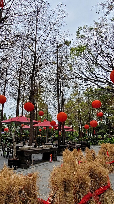 老饕帶路！！隱藏在田園間的絕美森林系景觀餐廳，如夢似幻的玻璃屋，享受著主廚精心手作料理，就來場浪漫的邂逅～ 