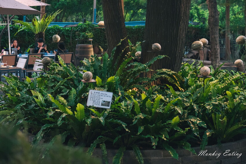 【彰化美食】家園藝術咖啡牛排館│北斗最美森林系庭園餐廳，40年老字號高CP值牛排火鍋簡餐。彰化田尾一日遊必吃 - 貪吃猴的幻想