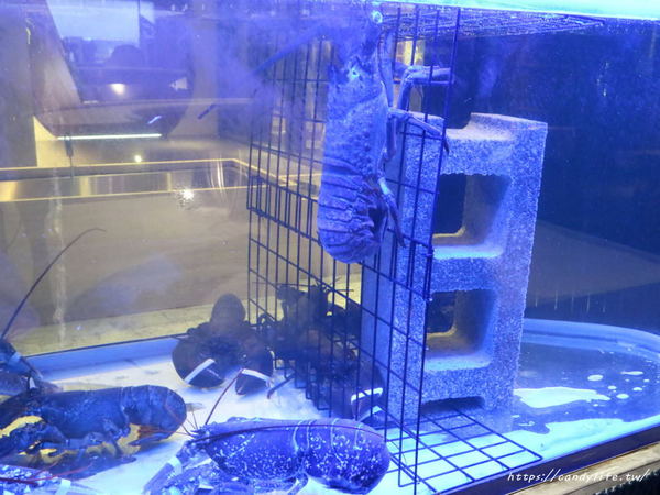 春花秋實 海鮮和牛鍋物：台中美食│春花秋實海鮮和牛鍋物〃頂級鍋物推薦!!活體海鮮入料，食材新鮮又實在，雙人套餐超澎湃～