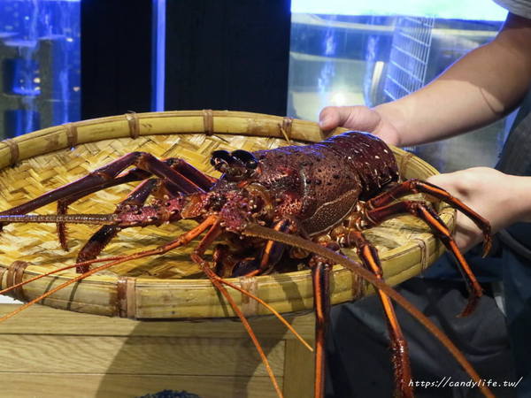 春花秋實 海鮮和牛鍋物：台中美食│春花秋實海鮮和牛鍋物〃頂級鍋物推薦!!活體海鮮入料，食材新鮮又實在，雙人套餐超澎湃～