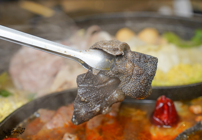 韓城石頭火鍋|台南火鍋:台南必吃老版石頭火鍋!!打卡麻辣鍋底免費送,壽星打卡再送肉盤 @緹雅瑪 美食旅遊趣