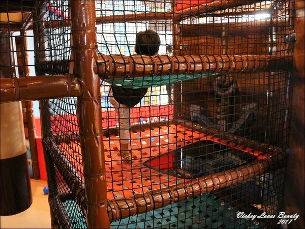 IMG_3911.JPG IMG_3911.JPG