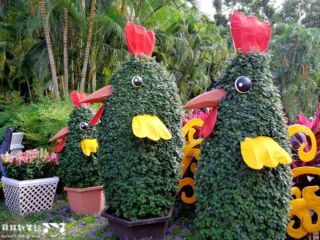 2016士林官邸菊展「菊世聞名」 2016士林官邸菊展「菊世聞名」