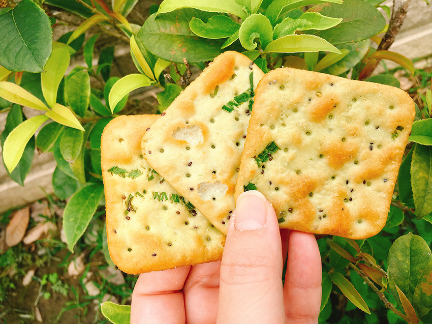 自然主意人氣蘇打餅典藏禮盒,自然主義,維世康國際股份,素食伴手禮,過年伴手禮推薦,過年禮盒推薦,零食禮盒推薦,中秋送禮推薦,中秋禮盒推薦