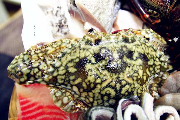 極好食：【宅配。鍋物】 樂天市場-極好食 貝里斯龍蝦鍋 傳說中的痛風鍋  特價海鮮火鍋組合