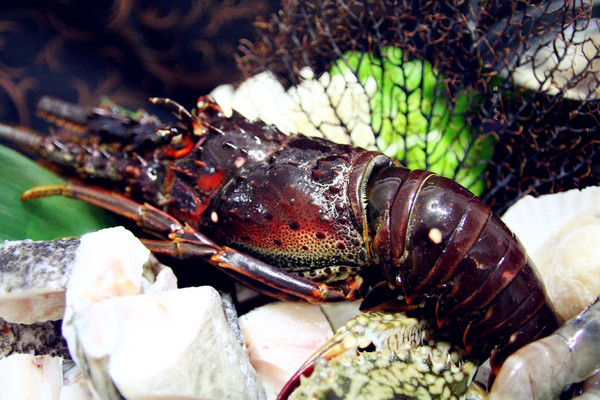 極好食：【宅配。鍋物】 樂天市場-極好食 貝里斯龍蝦鍋 傳說中的痛風鍋  特價海鮮火鍋組合