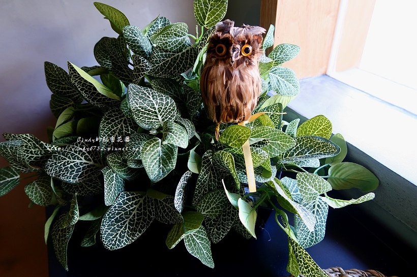 IMG_0330.JPG IMG_0330.JPG