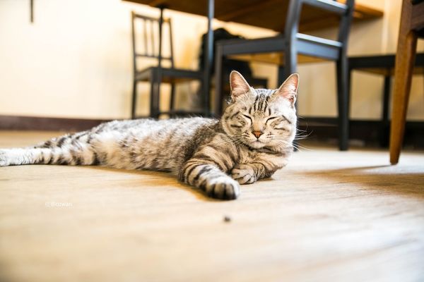 [吃喝]老屋之間話家常，媽寶來了～BETWEEN BRUNCH。