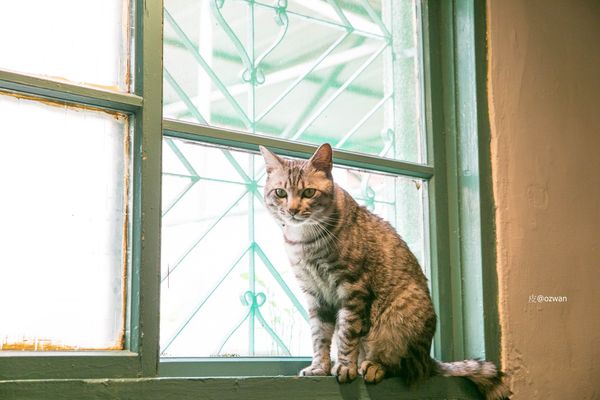 [吃喝]老屋之間話家常，媽寶來了～BETWEEN BRUNCH。