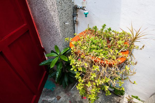 [吃喝]老屋之間話家常，媽寶來了～BETWEEN BRUNCH。