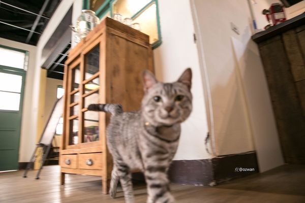 [吃喝]老屋之間話家常，媽寶來了～BETWEEN BRUNCH。