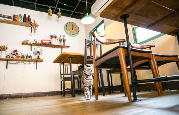 [吃喝]老屋之間話家常，媽寶來了～BETWEEN BRUNCH。