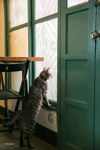 [吃喝]老屋之間話家常，媽寶來了～BETWEEN BRUNCH。