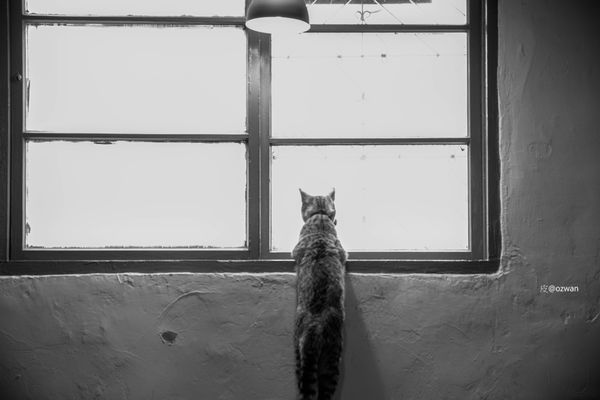 [吃喝]老屋之間話家常，媽寶來了～BETWEEN BRUNCH。