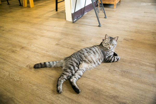 [吃喝]老屋之間話家常，媽寶來了～BETWEEN BRUNCH。