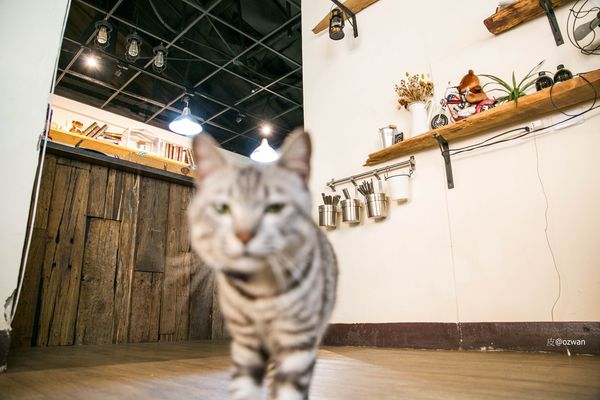 [吃喝]老屋之間話家常，媽寶來了～BETWEEN BRUNCH。