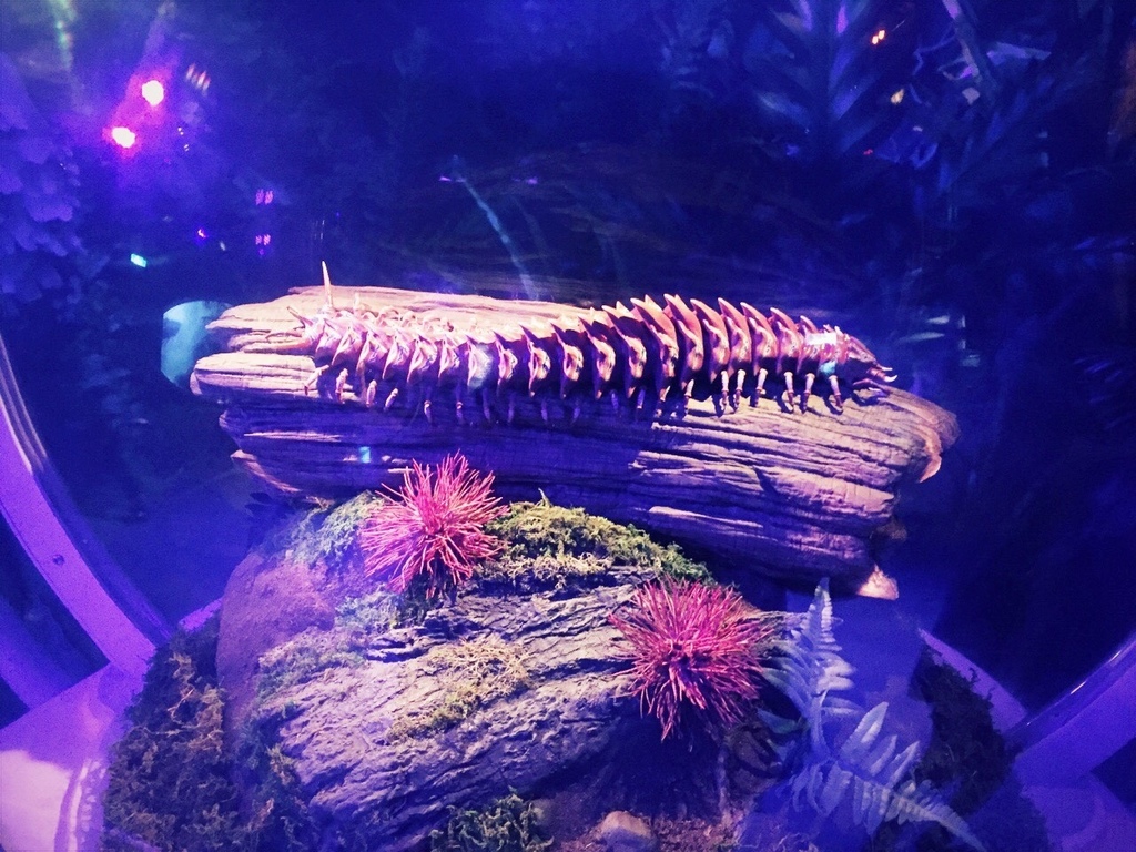 阿凡達潘朵拉星球