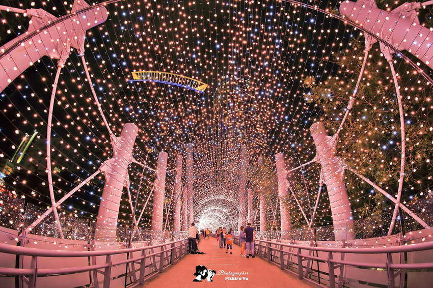 45517274_2220442444642305_7600178723169501184_o