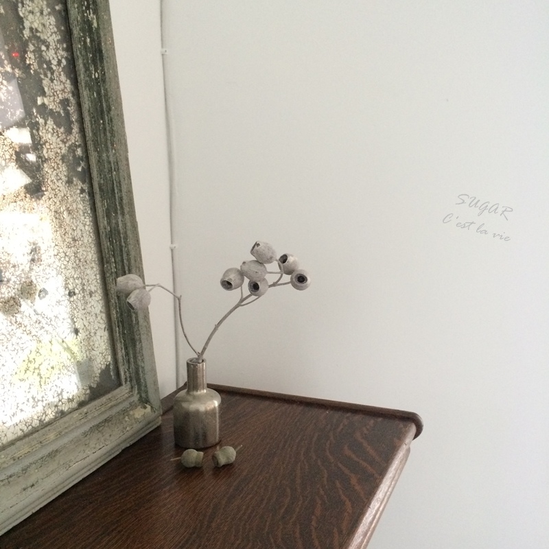 IMG_0159.JPG IMG_0159.JPG