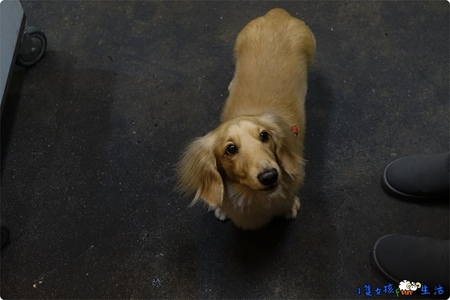 DSC00987.jpg DSC00987.jpg