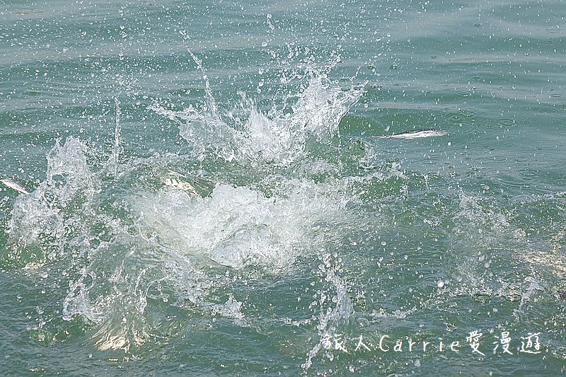 高雄永安品魚鹽之道一日漁夫輕旅行智慧旅遊【高雄旅遊】~蘇班長安心石斑 鑽石沙灣夕陽+龍膽石斑盛宴AR菜單 鑽石魚燈 彩鹽草蜢DIY