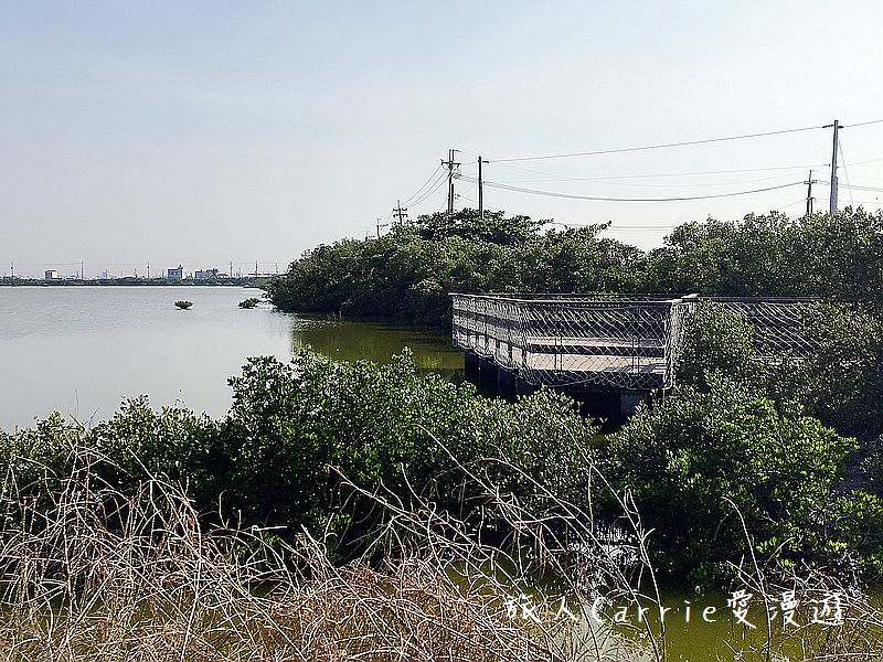 高雄永安品魚鹽之道一日漁夫輕旅行智慧旅遊【高雄旅遊】~蘇班長安心石斑 鑽石沙灣夕陽+龍膽石斑盛宴AR菜單 鑽石魚燈 彩鹽草蜢DIY