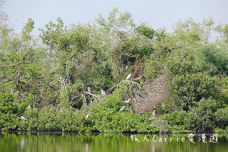 高雄永安品魚鹽之道一日漁夫輕旅行智慧旅遊【高雄旅遊】~蘇班長安心石斑 鑽石沙灣夕陽+龍膽石斑盛宴AR菜單 鑽石魚燈 彩鹽草蜢DIY