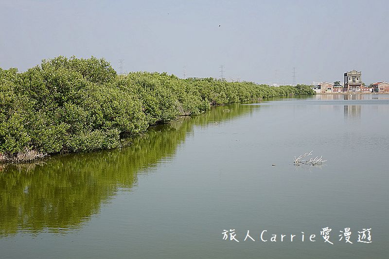 高雄永安品魚鹽之道一日漁夫輕旅行智慧旅遊【高雄旅遊】~蘇班長安心石斑 鑽石沙灣夕陽+龍膽石斑盛宴AR菜單 鑽石魚燈 彩鹽草蜢DIY