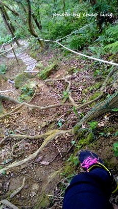 鶯歌幸福步道-36.jpg - 2016秋之豔