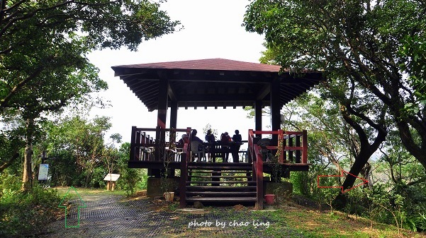 鶯歌幸福步道-38.JPG - 2016秋之豔