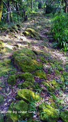 鶯歌幸福步道-39.jpg - 2016秋之豔