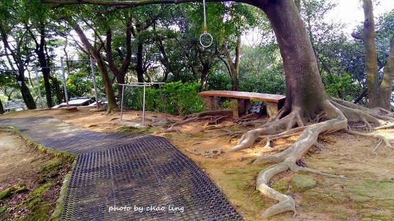 鶯歌幸福步道-47.jpg - 2016秋之豔