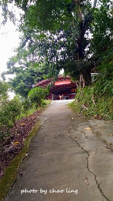 鶯歌幸福步道-50.jpg - 2016秋之豔