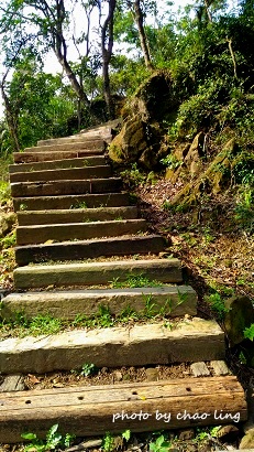 鶯歌幸福步道-45.jpg - 2016秋之豔