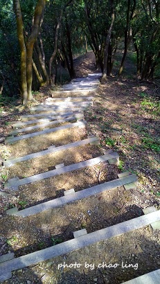 鶯歌幸福步道-44.jpg - 2016秋之豔