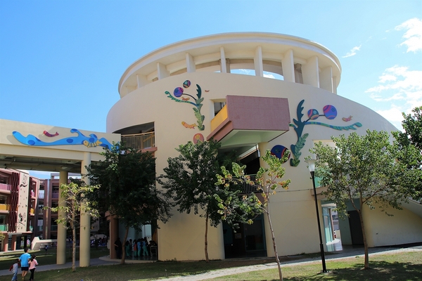 太平新'國小：【台中太平景點】新光國小~雙滑道溜滑梯 動物童話森林 貓頭鷹主題