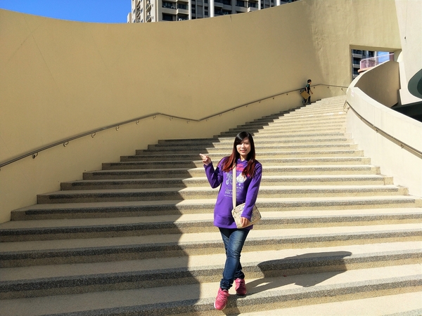 太平新'國小：【台中太平景點】新光國小~雙滑道溜滑梯 動物童話森林 貓頭鷹主題