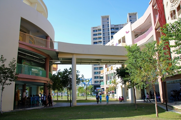 太平新'國小：【台中太平景點】新光國小~雙滑道溜滑梯 動物童話森林 貓頭鷹主題