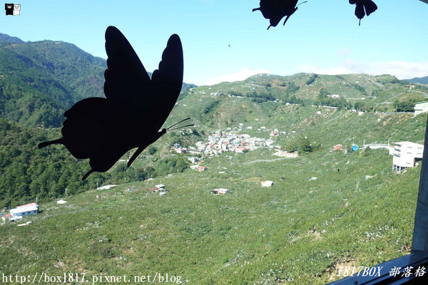 【台中。和平】雪山下的天空部落。環山部落。7-11二樓隱藏版景觀。高山群峰環繞