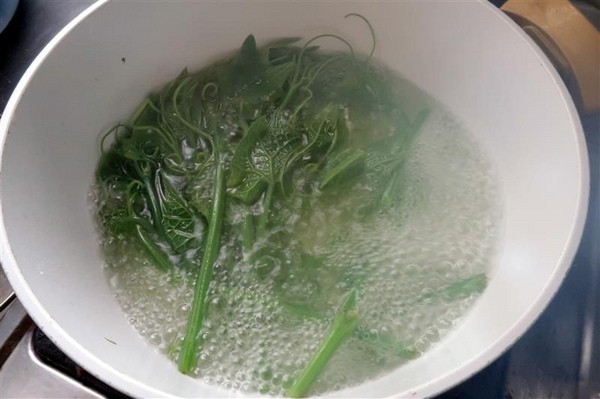 豐滿生技博士紅薑黃:MIT養生超級紅薑黃 紅薑黃芝麻醬 涼拌龍鬚菜 中華涼麵影片 薑黃養生料理~ 豐滿生技博士紅薑黃:MIT養生超級紅薑黃 紅薑黃芝麻醬 涼拌龍鬚菜 中華涼麵影片 薑黃養生料理~