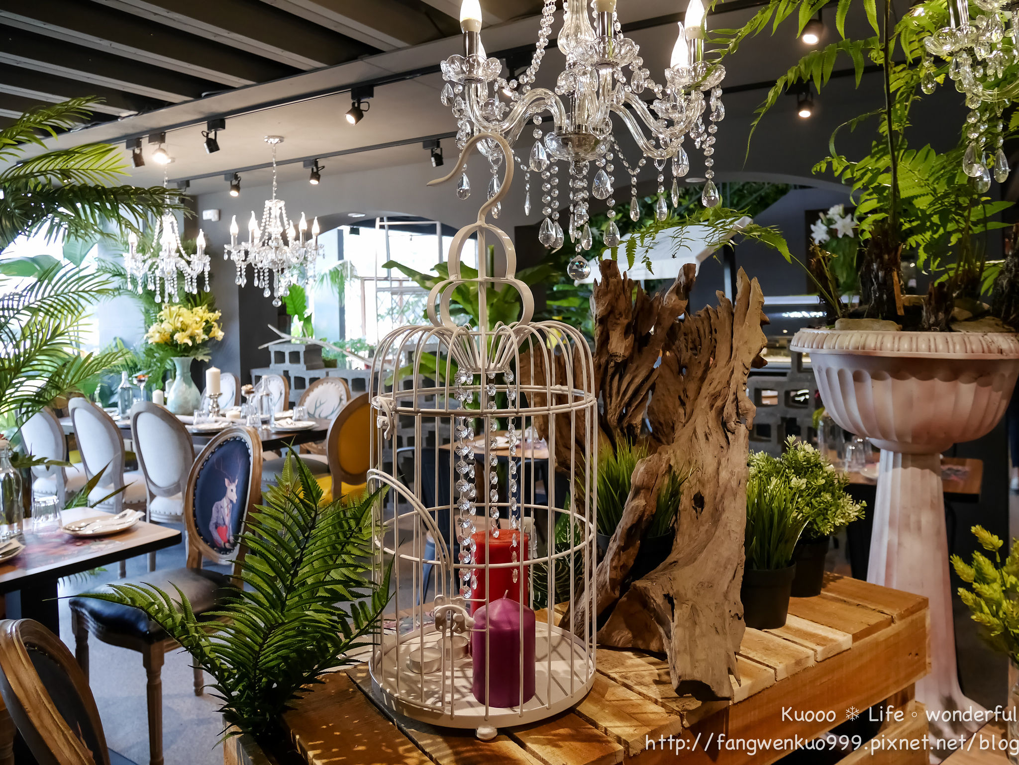 P1180329.jpg P1180329.jpg