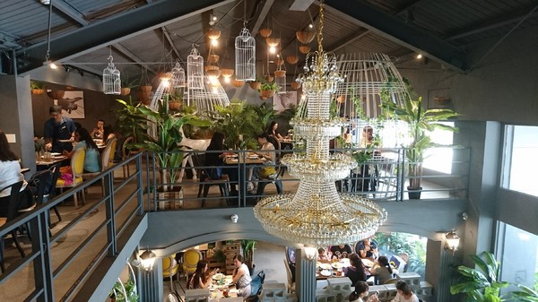 J.C.co藝術廚房:高雄~J.C.co藝術廚房~走進童話般的夢幻森林~鳥籠白鹿造景美到令人驚豔~CP值超高的主題餐廳~