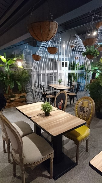 J.C.co藝術廚房:高雄~J.C.co藝術廚房~走進童話般的夢幻森林~鳥籠白鹿造景美到令人驚豔~CP值超高的主題餐廳~