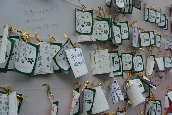 *台北土城* 桐花公園~無緣看到健康的桐花