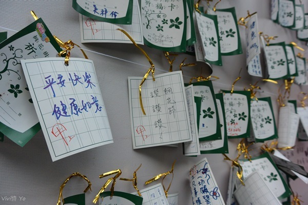 *台北土城* 桐花公園~無緣看到健康的桐花