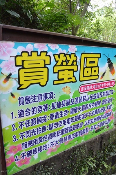 *台北土城* 桐花公園~無緣看到健康的桐花