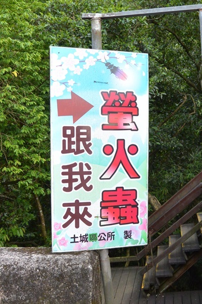 *台北土城* 桐花公園~無緣看到健康的桐花