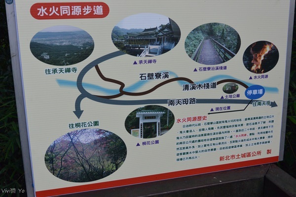 *台北土城* 桐花公園~無緣看到健康的桐花