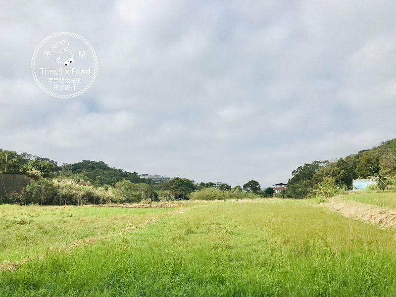 秀才步道｜老少咸宜，第一次登山就上手！櫻花芒草落羽松，四季美景交替，制高點輕鬆GET！ @魚兒 x 牽手明太子的「視」界旅行