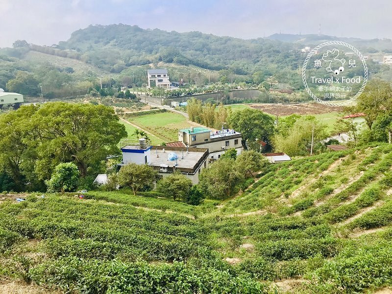 秀才步道｜老少咸宜，第一次登山就上手！櫻花芒草落羽松，四季美景交替，制高點輕鬆GET！ @魚兒 x 牽手明太子的「視」界旅行